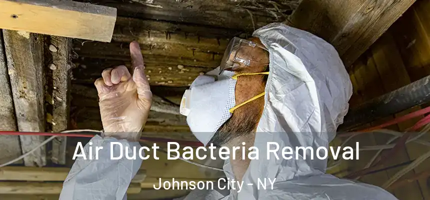  Air Duct Bacteria Removal Johnson City - NY