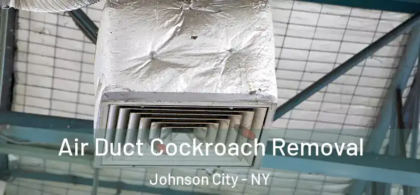  Air Duct Cockroach Removal Johnson City - NY
