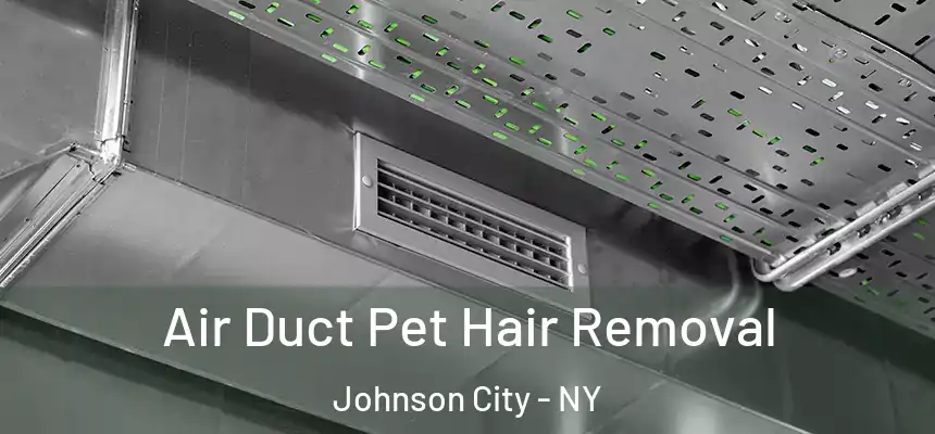 Air Duct Pet Hair Removal Johnson City - NY