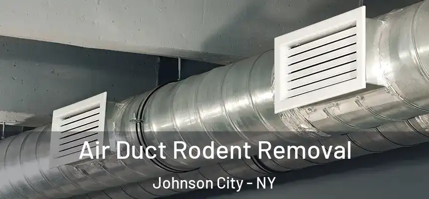  Air Duct Rodent Removal Johnson City - NY