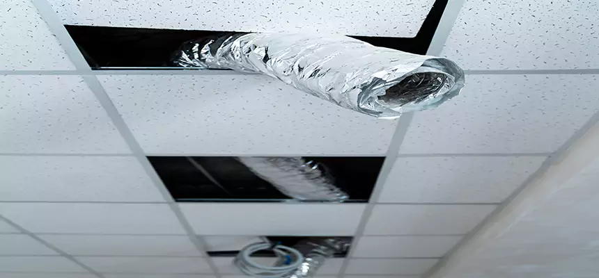 Our Air Duct Pet Hair Removal Services in Johnson City, NY