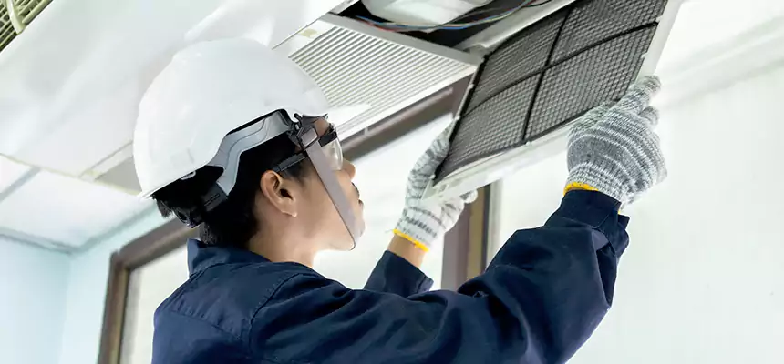 Our Mold & Mildew Removal from Air Ducts Services in Johnson City, NY