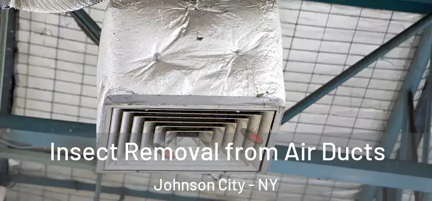 Insect Removal from Air Ducts Johnson City - NY