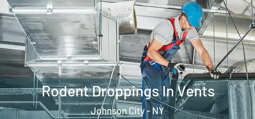  Rodent Droppings In Vents Johnson City - NY