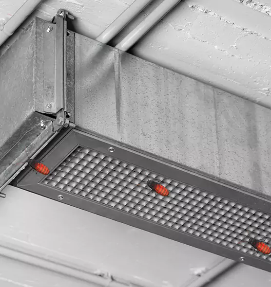 About Air Duct Cockroach Removal in Johnson City, NY