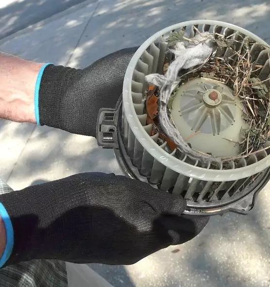 About Air Duct Rat Removal in Johnson City, NY