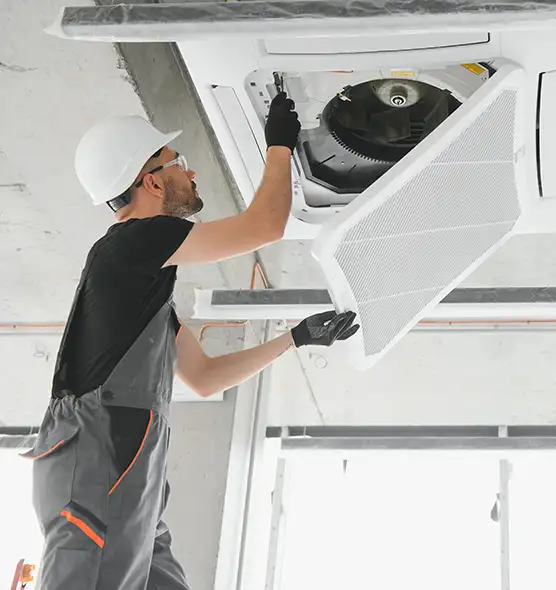 About Air Duct Rodent Removal in Johnson City, NY