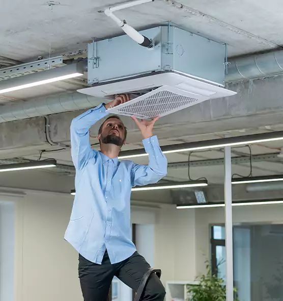 Advanced Rodent Droppings In Vents in Johnson City, NY