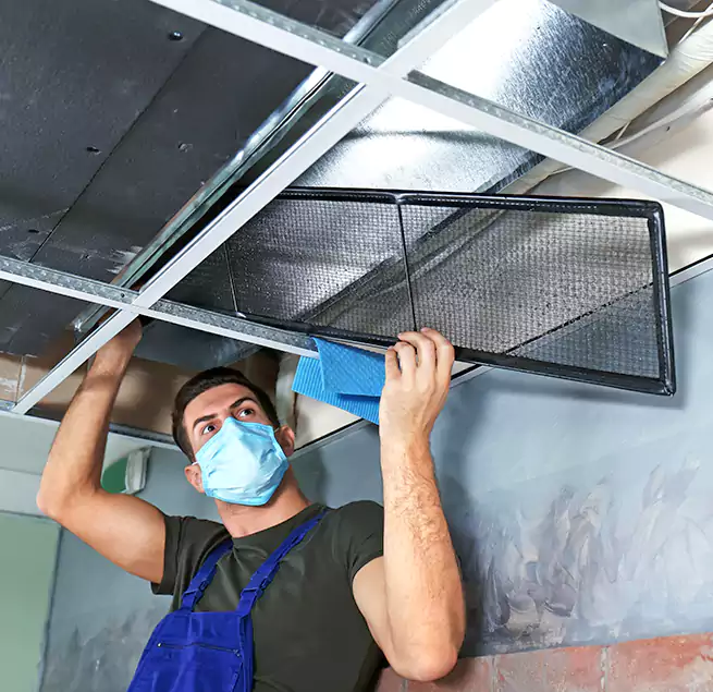 Why Homeowners Businesses Trust Us in Johnson City, NY