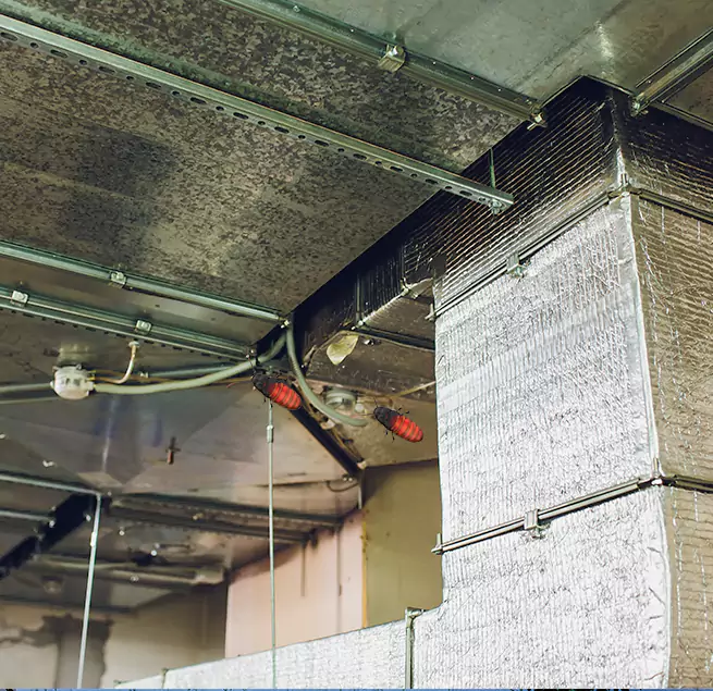 Why Homeowners & Businesses Trust Us Johnson City, NY?