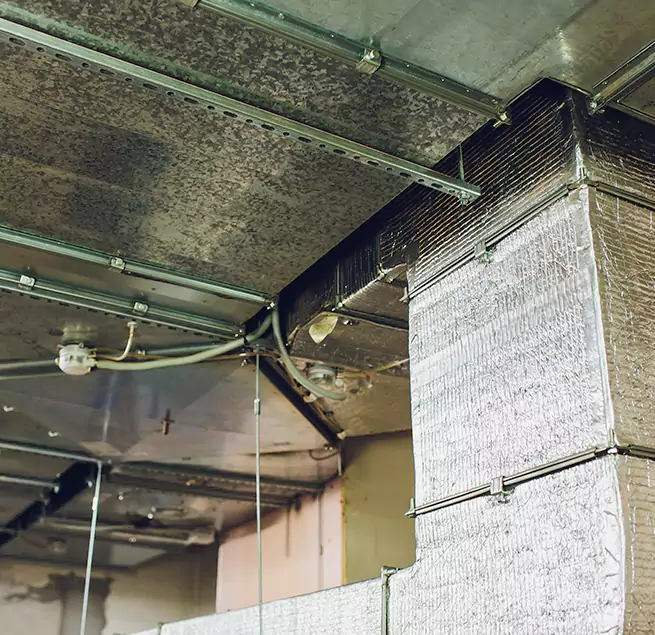 Why Homeowners & Businesses Trust Us in Johnson City, NY?